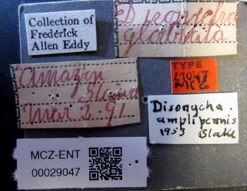 Media type: image;   Entomology 29047 Aspect: labels